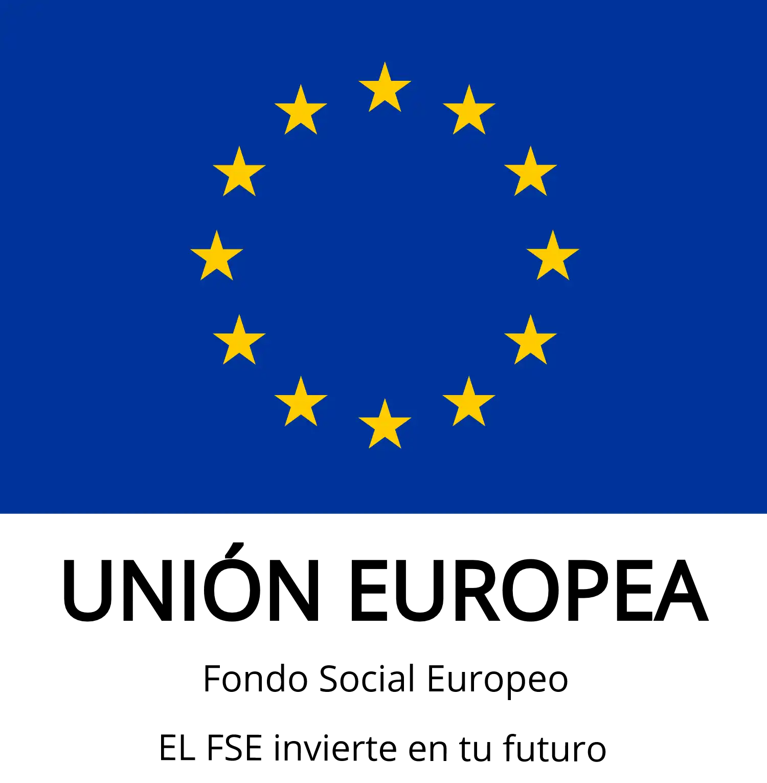 Bandera de la Unión Europea con texto en español debajo que indica inversión del Fondo Social Europeo.
